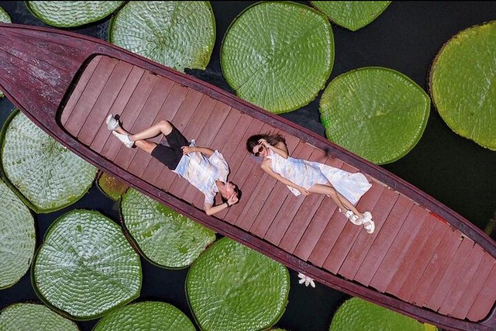 Phuket Giant Water Lilies & Temple Tour - Private & All-Inclusive