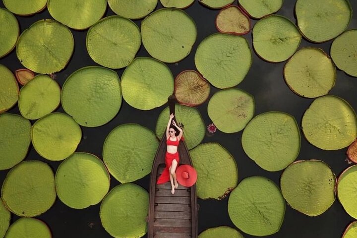 Phuket Giant Water Lilies & Temple Tour - Private & All-Inclusive