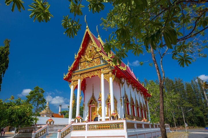 Phuket Giant Water Lilies & Temple Tour - Private & All-Inclusive