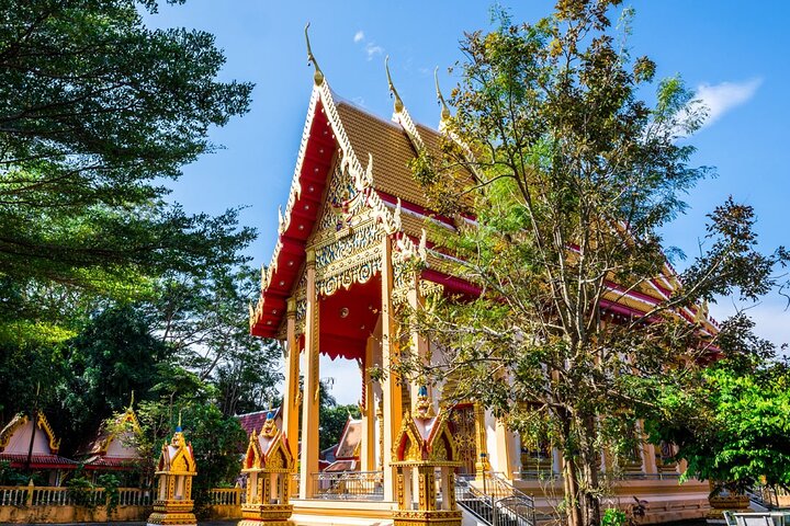 Phuket Giant Water Lilies & Temple Tour - Private & All-Inclusive