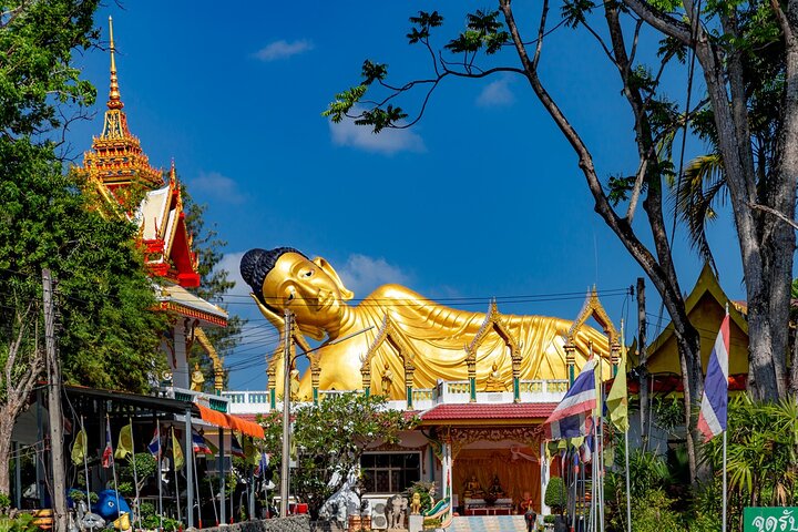 Phuket Giant Water Lilies & Temple Tour - Private & All-Inclusive