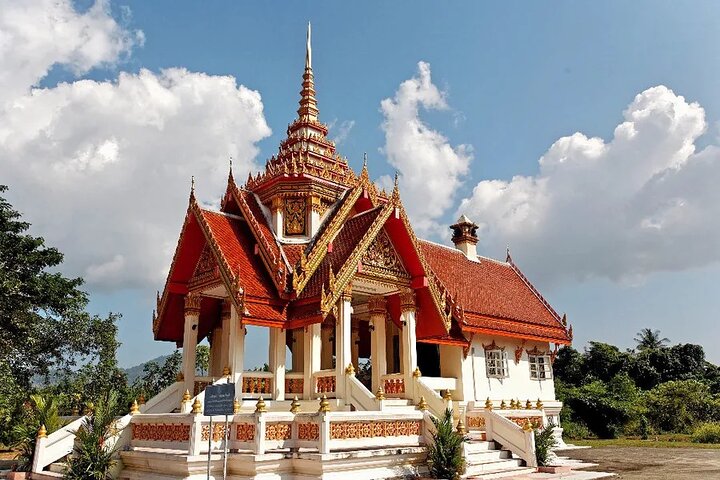 Phuket Giant Water Lilies & Temple Tour - Private & All-Inclusive