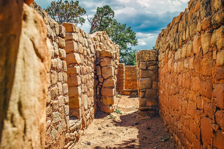 Mesa Verde Full Day Tour with Cliff Palace and Lunch