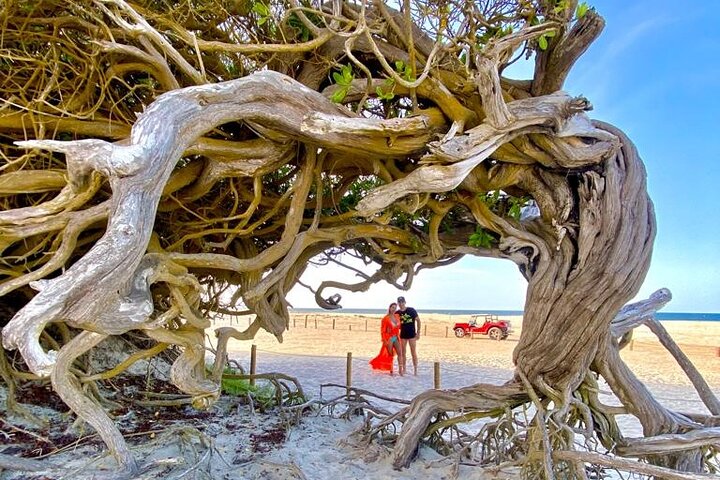 Private buggy tour along the east coast of Jericoacoara