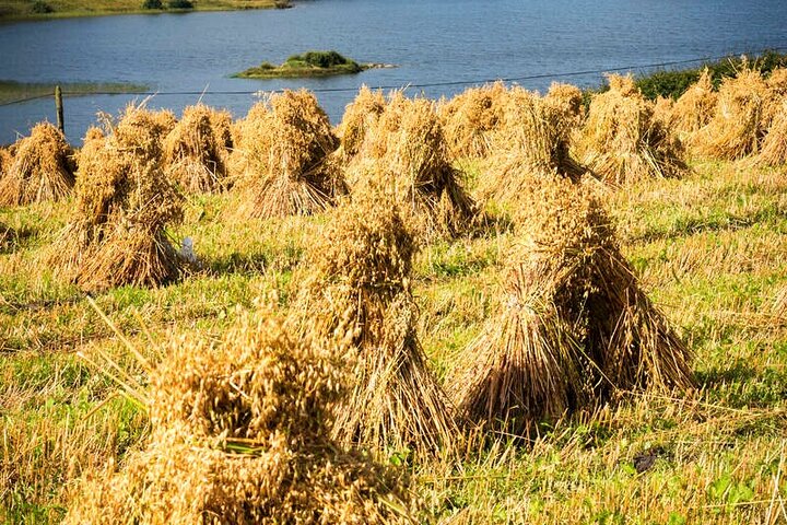 DONEGAL DAY TOUR: Coast and Castles