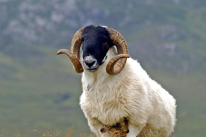 DAY TOUR: Highlights Of South Donegal