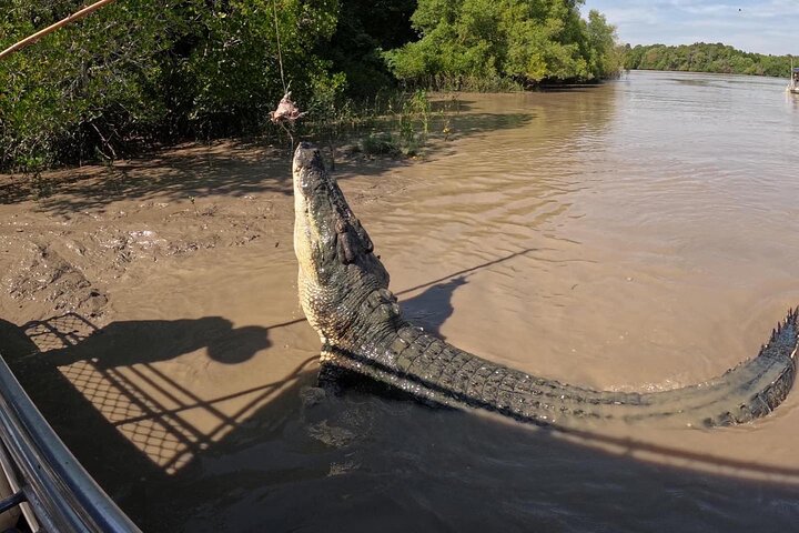The Croc Bus to the Famous Jumping Crocodile Cruise
