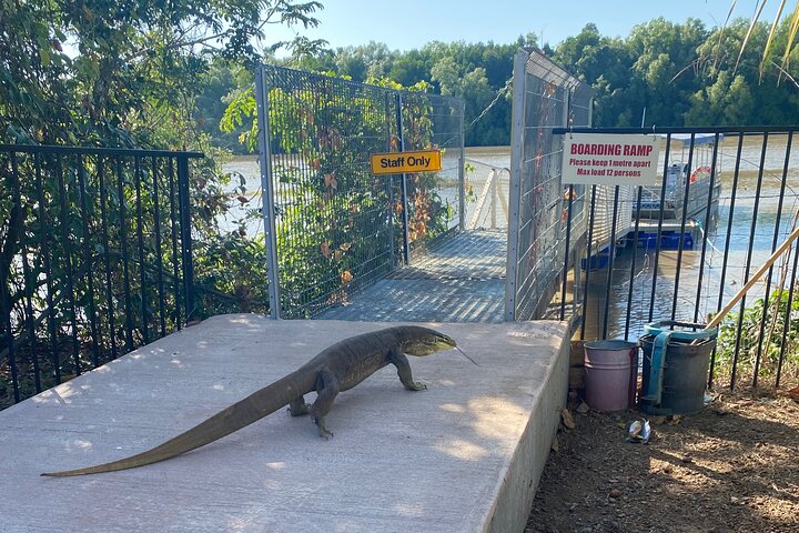 The Croc Bus to the Famous Jumping Crocodile Cruise