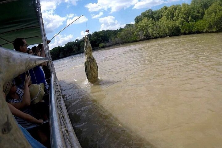 The Croc Bus to the Famous Jumping Crocodile Cruise