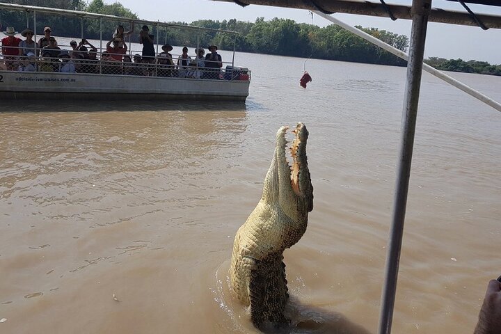 The Croc Bus to the Famous Jumping Crocodile Cruise
