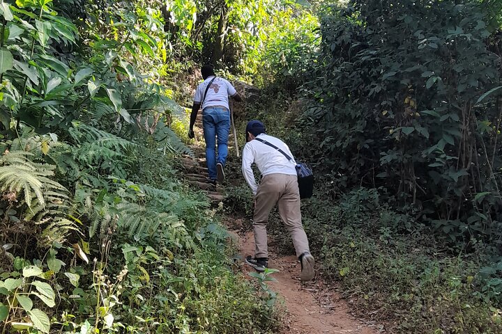 Kpalimé & Mont Agou: Adventure in the Heart of the Wonders of Togo