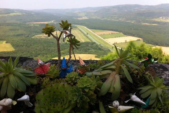 Full-Day Small-Group Tour in Istria