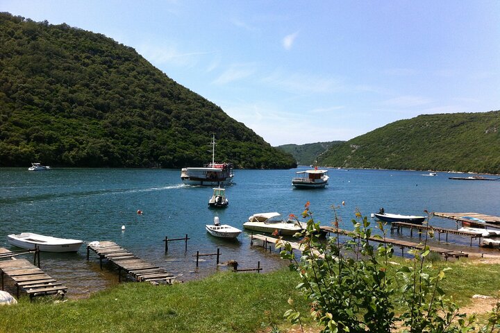 Full-Day Small-Group Tour in Istria