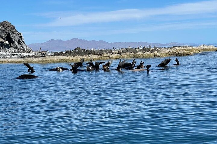 Island Tour with Snorkeling and Picnic