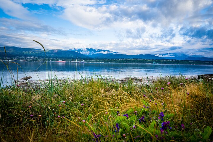 Electric Bike Ride on the Olympic Discovery Trail