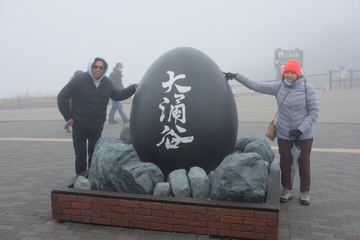 Hakone in 1 Day by Private Car with Licensed Guide