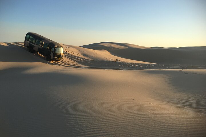 Port Stephens Unlimited Sandboarding and Sand Surfing
