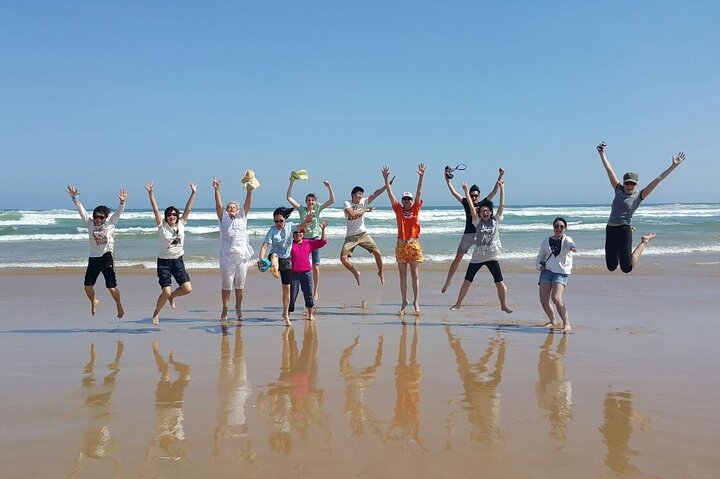 Port Stephens Unlimited Sandboarding and Sand Surfing