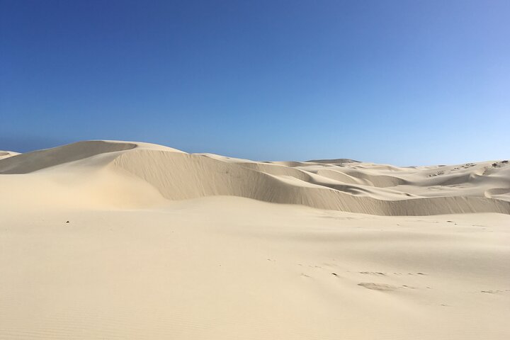 Port Stephens Unlimited Sandboarding and Sand Surfing