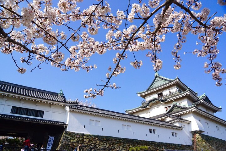 The Best of Wakayama City Private Tour