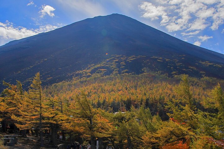 Mt Fuji and Hakone 1-Day Bus Tour Return by Bullet Train