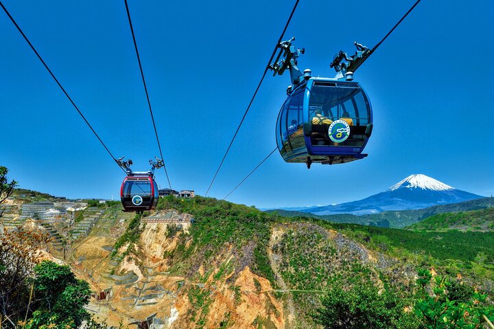 Mt Fuji and Hakone 1-Day Bus Tour Return by Bullet Train