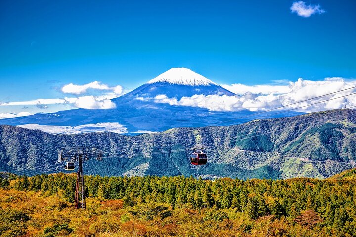 Mt Fuji and Hakone 1-Day Bus Tour Return by Bus