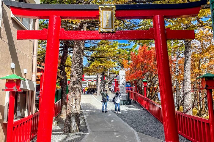 Mt Fuji and Hakone 1-Day Bus Tour Return by Bullet Train