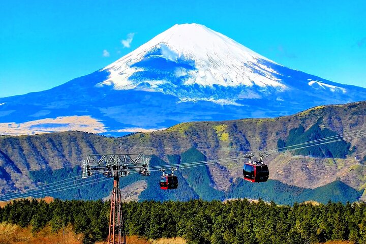 Mt Fuji and Hakone 1-Day Bus Tour Return by Bullet Train