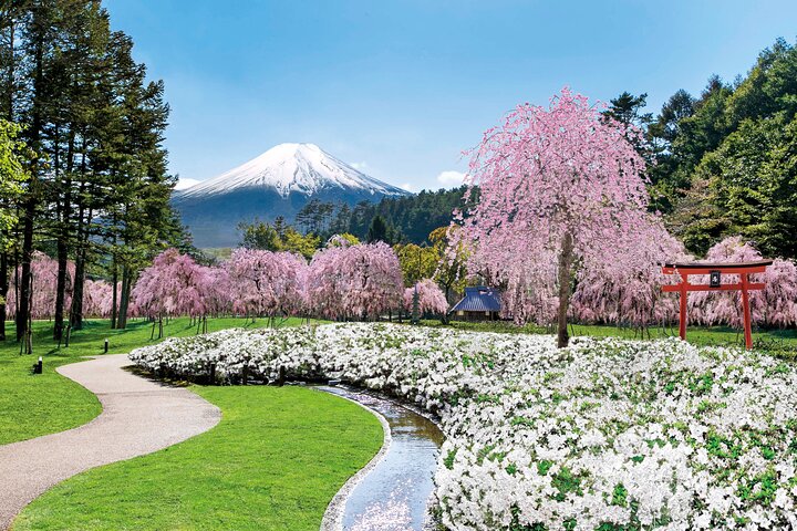 Mt Fuji and Hakone 1-Day Bus Tour Return by Bullet Train