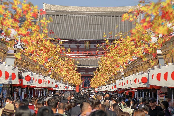 1-Day Tokyo Bus Tour