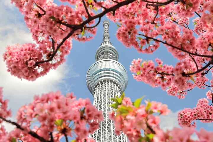 1-Day Tokyo Bus Tour