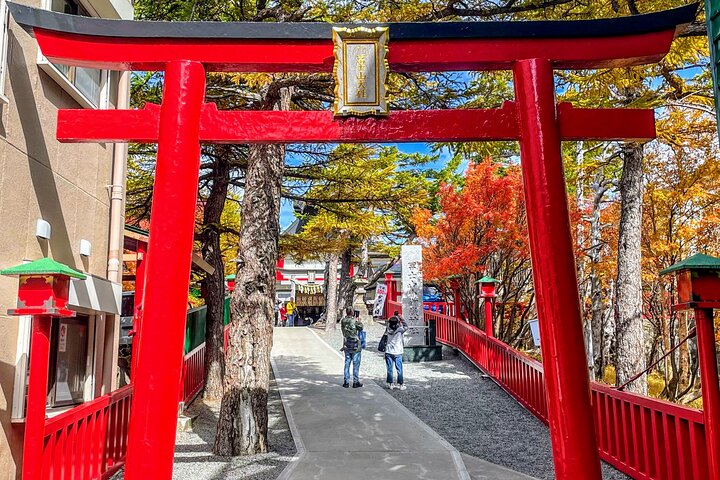 Mt Fuji and Hakone 1-Day Bus Tour Return by Bus