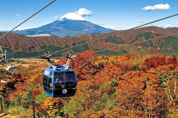 Mt Fuji and Hakone 1-Day Bus Tour Return by Bus