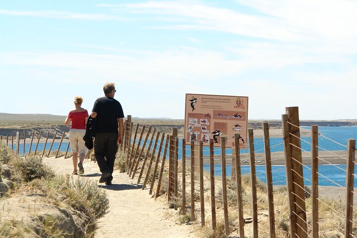 Shore Excursion Peninsula Valdes cruise passengers Puerto Madryn