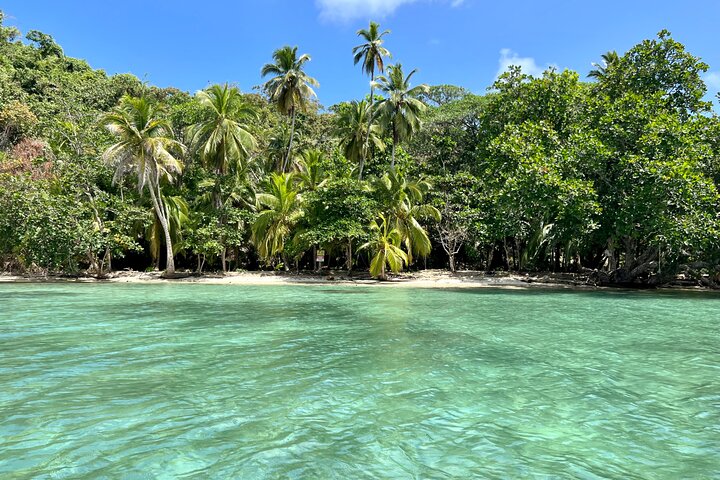 Caribbean Catamaran Day Cruise: Beaches, Snorkeling & Lunch