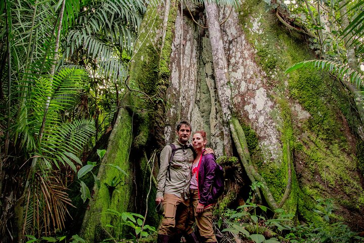 4-Day Iquitos Jungle Adventure at Muyuna Lodge
