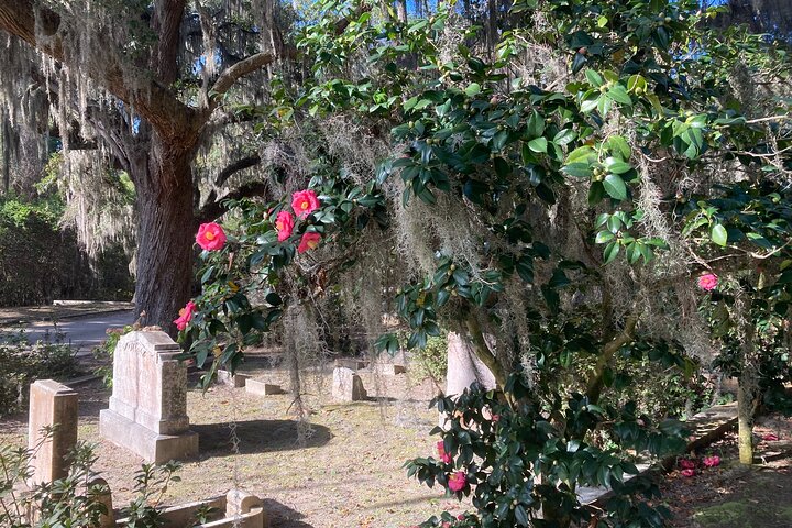 1-Hour Bonaventure Cemetery Golf Cart Guided Tour in Savannah