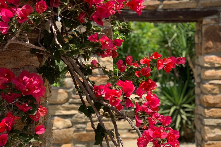 Wine Tasting and Tour in Saint Anna Winery in Naxos