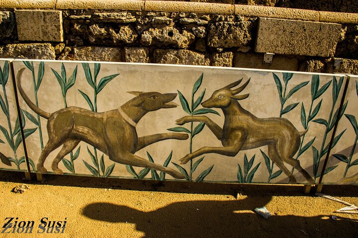 Caesarea Private Tour (half-day)