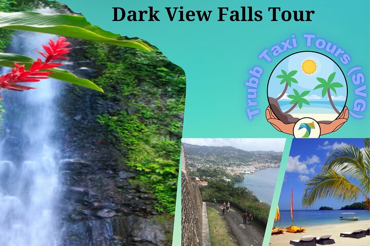 Dark View Falls Tour with Trubb Taxi Tours SVG
