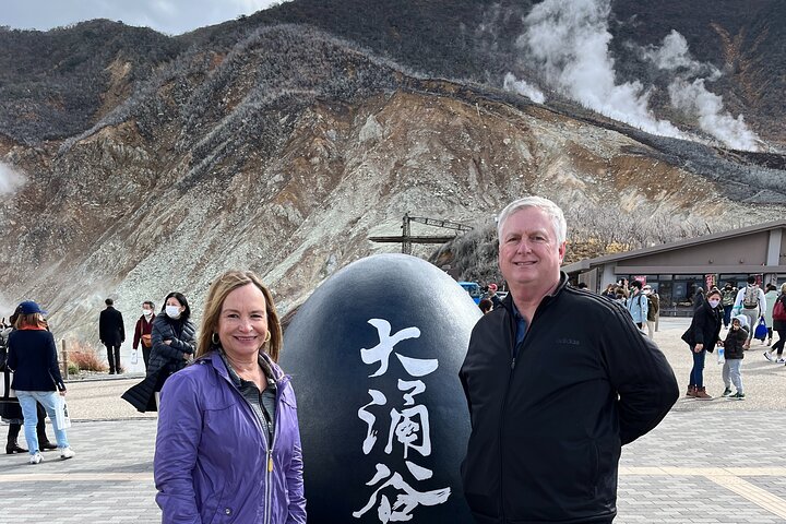 Hakone in 1 Day by Private Car with Licensed Guide