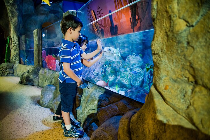 SEA LIFE Oberhausen Admission Ticket