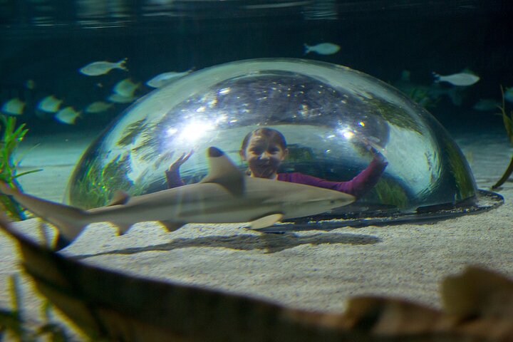 SEA LIFE Oberhausen Admission Ticket