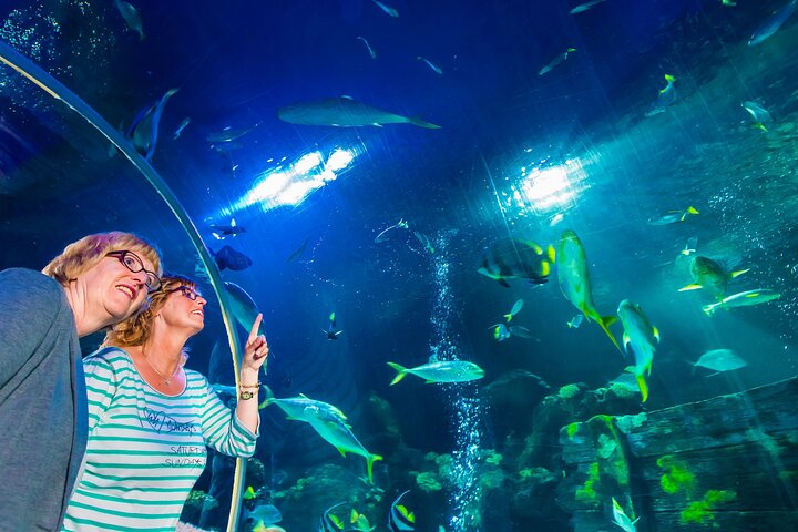 SEA LIFE Hannover Ticket