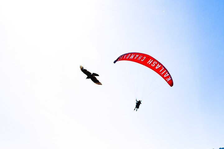 Two-seater paragliding flight in Chamonix