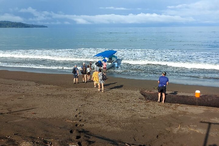 Corcovado National Park, Tour with lunch, San pedrillo.