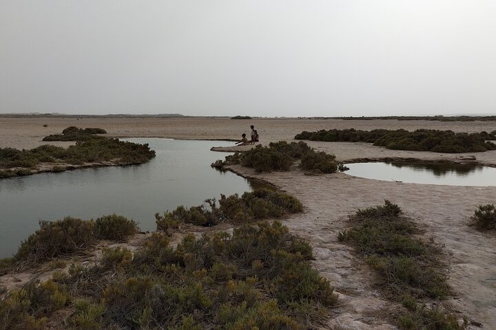 Discover the unusual sites of Dakhla in a 4x4 with a local guide