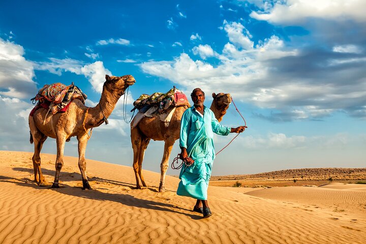 Marsa Alam Jeep: Desert Safari, Quad, Camel, Dinner & Stargazing