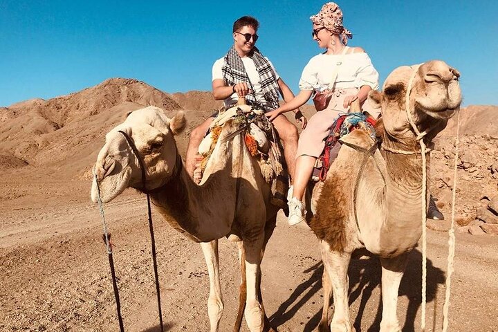 Marsa Alam Jeep: Desert Safari, Quad, Camel, Dinner & Stargazing